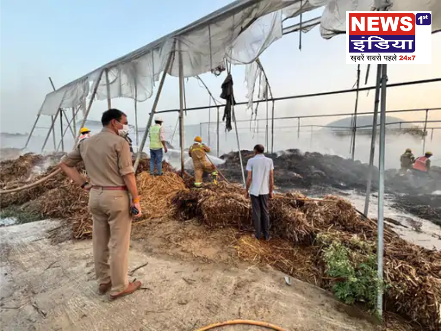 चितौली के रिलायंस बायो प्लांट में भीषण आग, फायर ब्रिगेड की त्वरित कार्रवाई से टला बड़ा हादसा