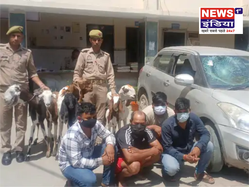 हापुड़ में अंतरराज्यीय पशु चोरी गिरोह का खुलासा, 4 आरोपी गिरफ्तार