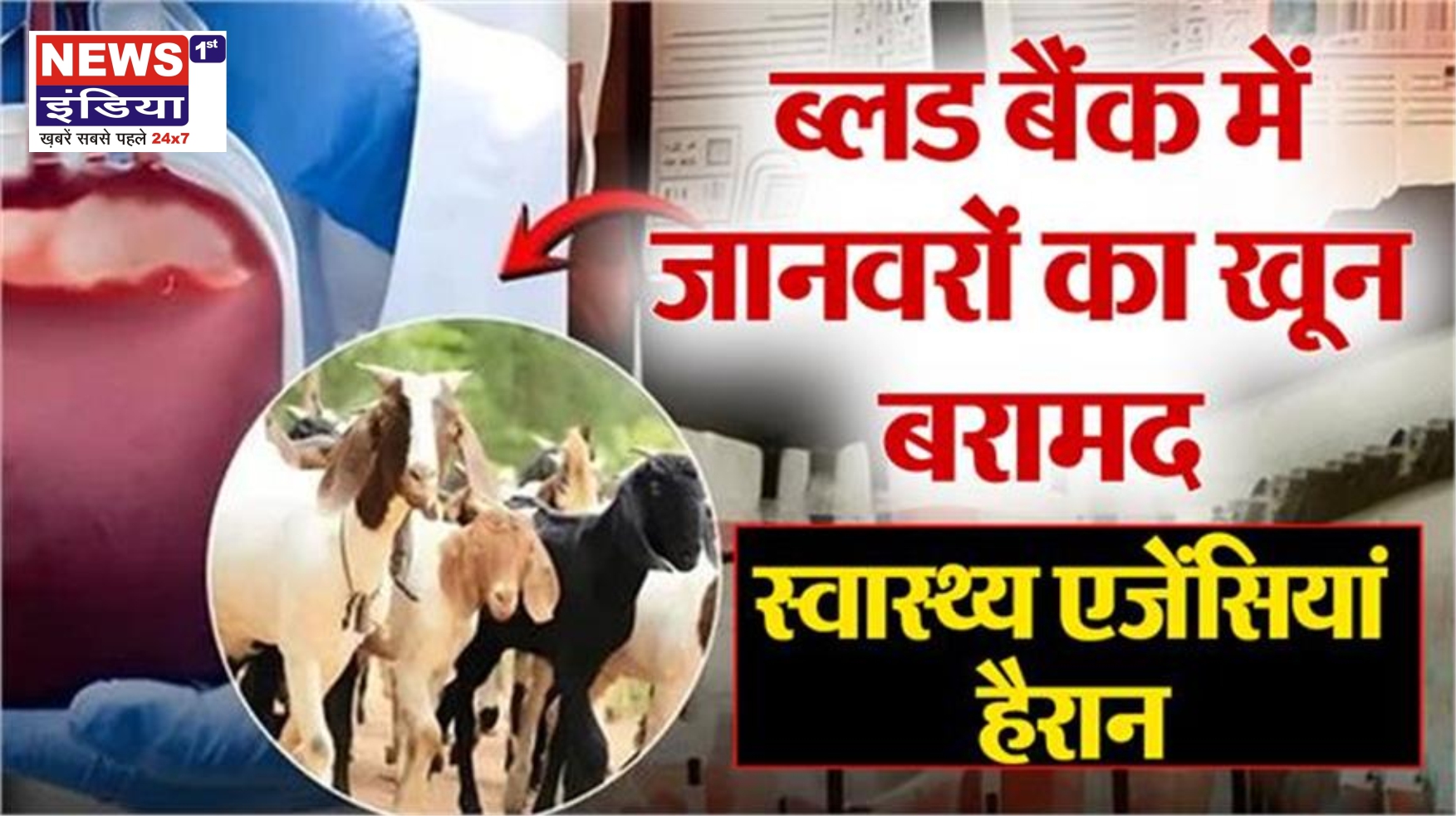जनस्वास्थ्य के लिए बड़ा खतरा! हैदराबाद में ब्लड बैग से जानवरों का खून बरामद, स्वास्थ्य एजेंसियां हैरान