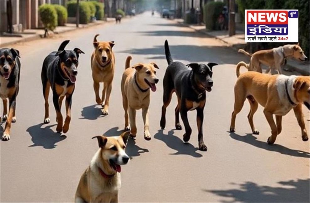 कानपुर में 5 खतरनाक कुत्तों को उम्रकैद, नसबंदी और निगरानी के आदेश