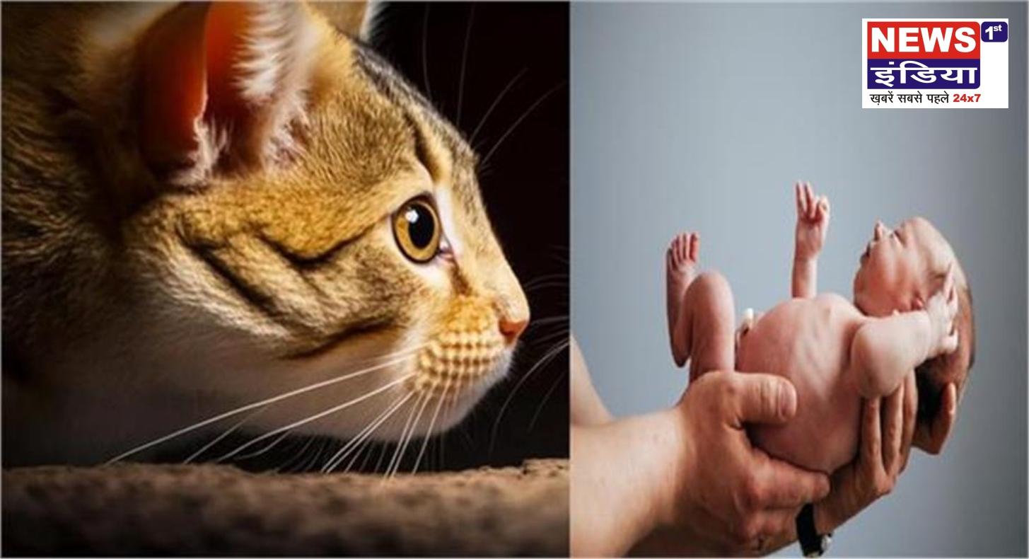 30 साल बाद लौटी जिंदगी की आवाज: बिल्लियों के सन्नाटे वाले गांव में पहली बार गूंजी किलकारी