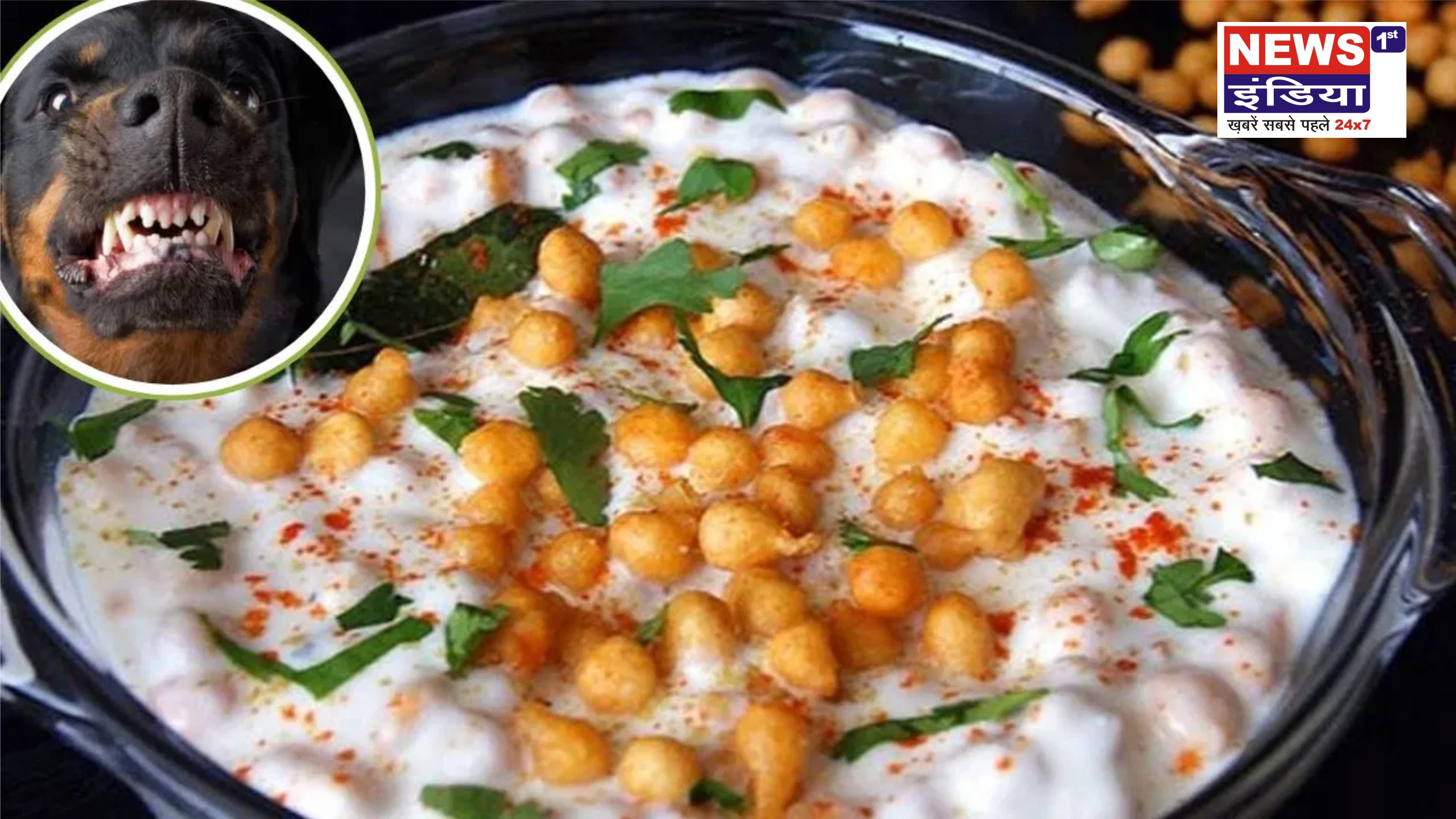 बदायूं में तेरवी के रायते से रैबीज का डर: भैंस की मौत के बाद 200 से ज्यादा ग्रामीणों को लगाई गई वैक्सीन