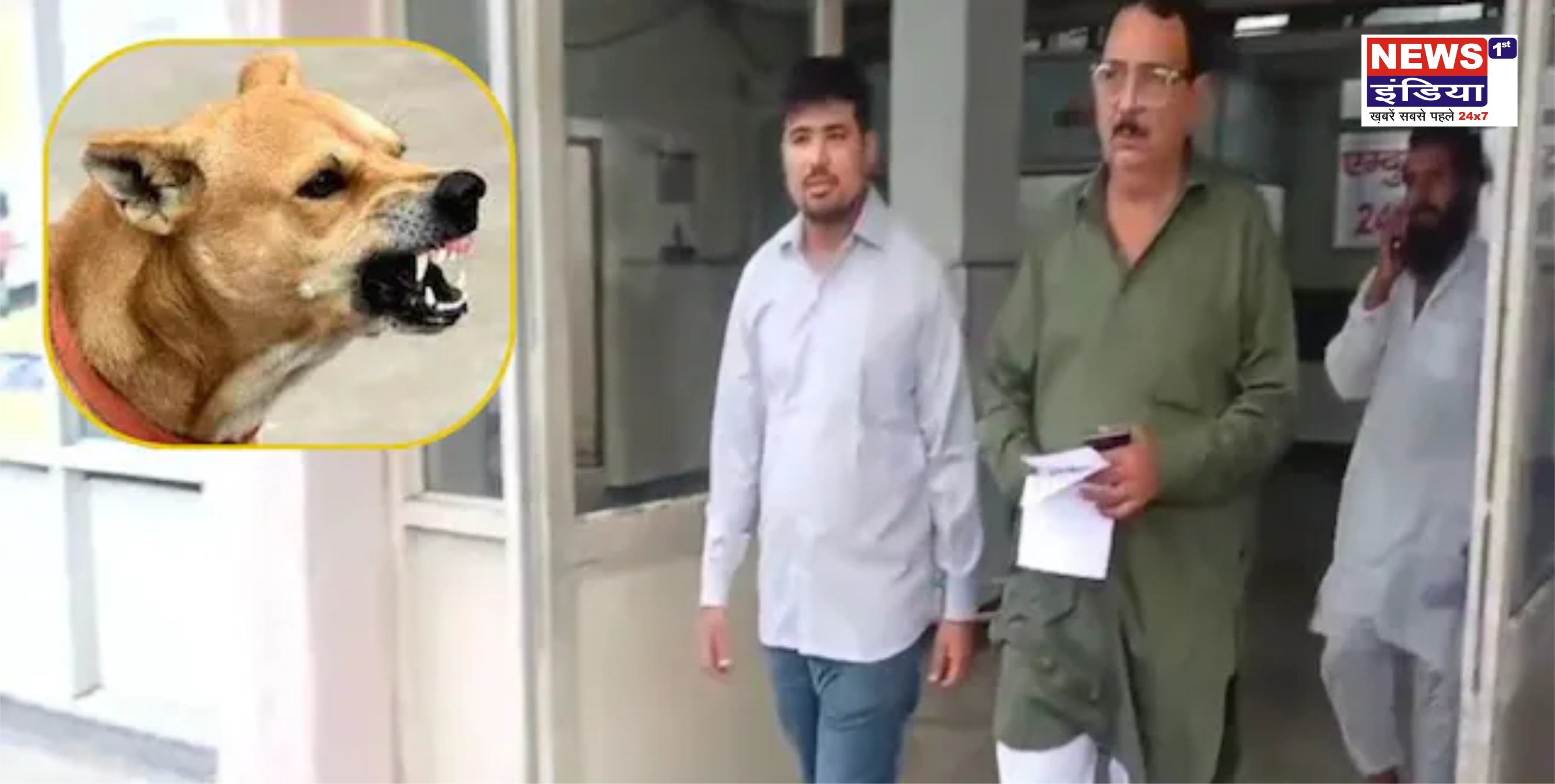 देश का पहला मामला: इंसान को काटने के बाद कुत्ता ही हुआ मृत! | हरियाणा से हैरान कर देने वाली खबर